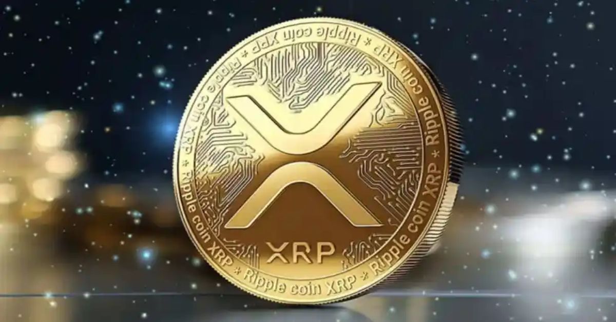 Ripple CEO Expects SEC to Approve Spot XRP ETF Next Year